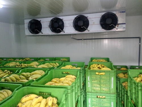 Banana Ripening Chamber Manufacturer
