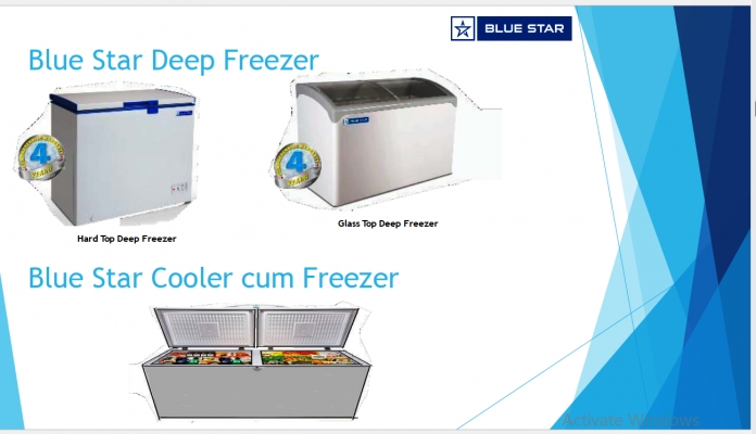 Blue Star Deep Freezer
